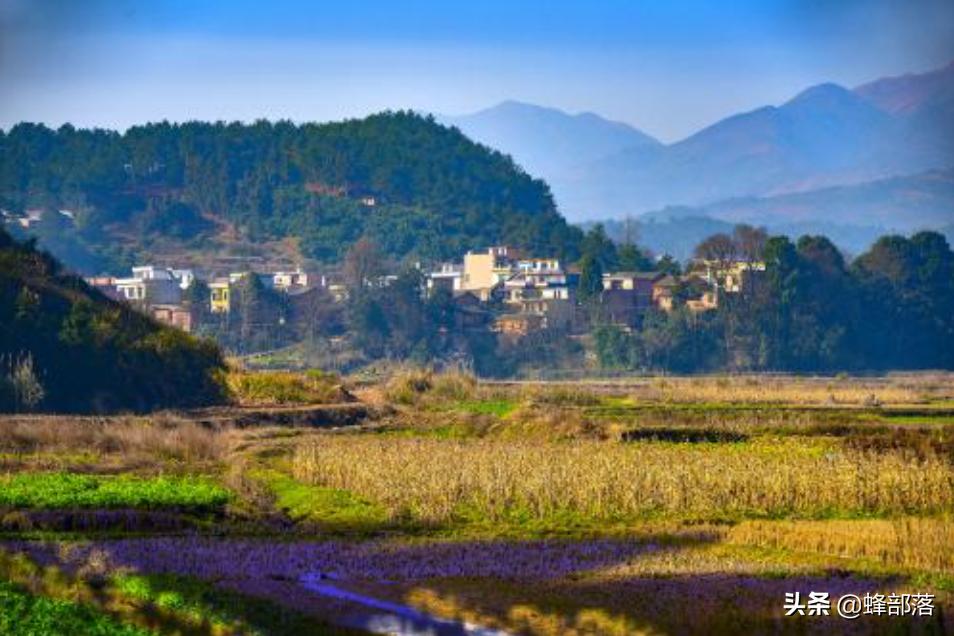 海外代购为何如此疯狂,个人国外代购现状