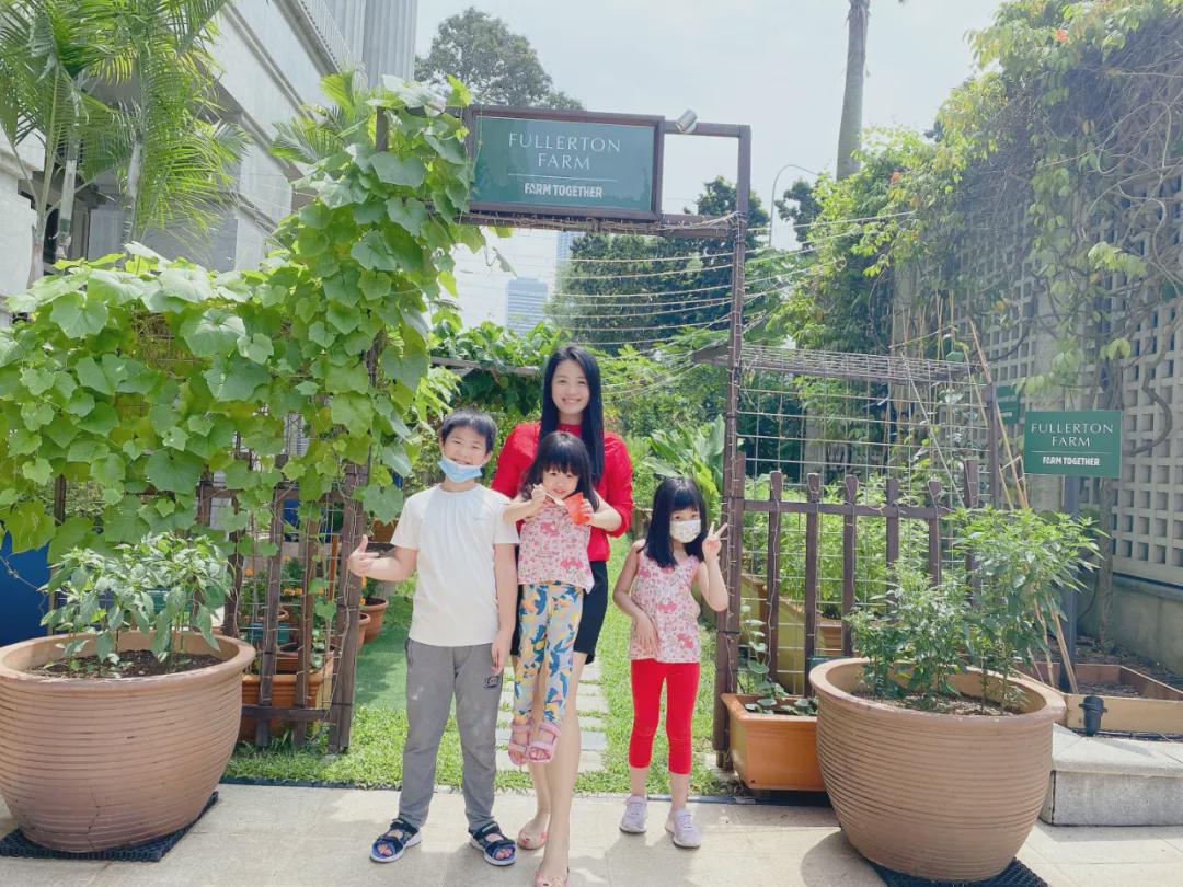 新加坡十大必住酒店,在新加坡住酒店多少钱