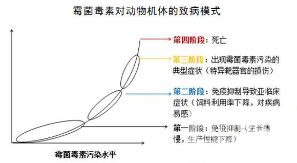 家禽养殖中如何避免霉菌毒素中毒,家禽饲料中霉菌毒素最高标准