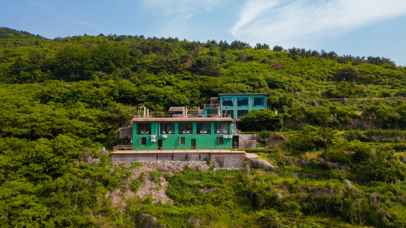 度假的袋鼠,青岛旅行的袋鼠