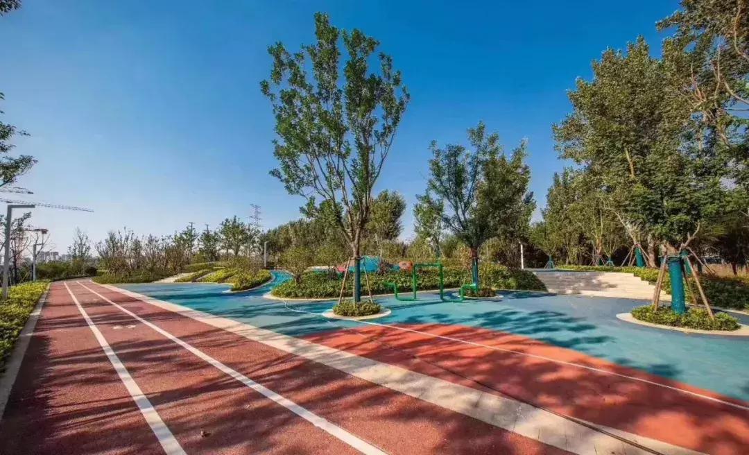 一篇文章搞懂全部文言文,管南神盘