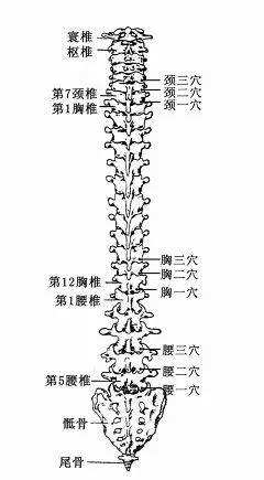 胃下垂十二指肠淤滞,治疗胃十二指肠溃疡的最佳穴位