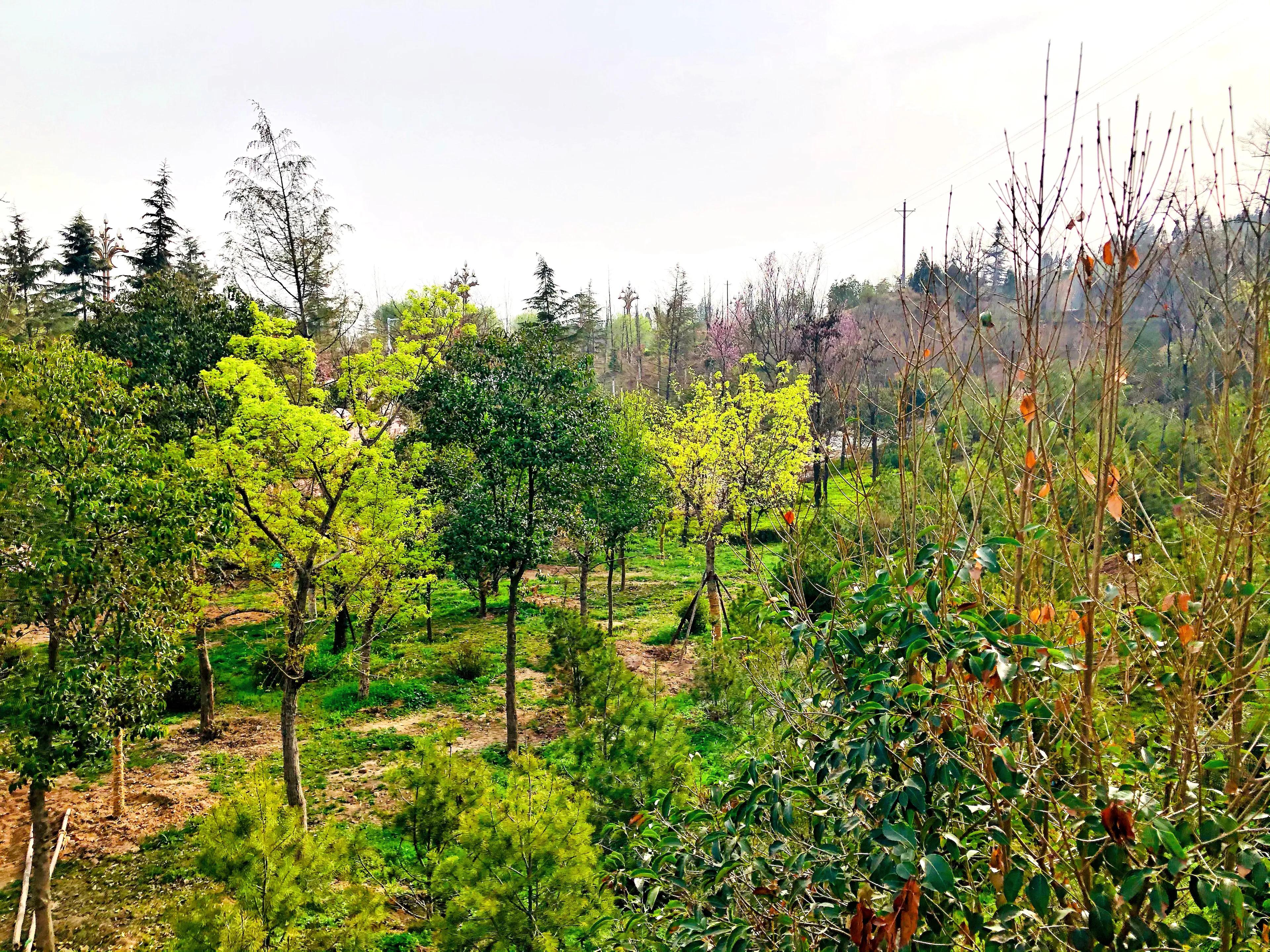 金塘半日游,白鹿原一日游攻略