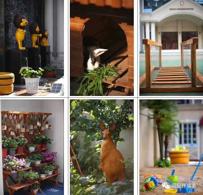 中原区公立幼儿园,郑州市中原区私立幼儿园怎么报名