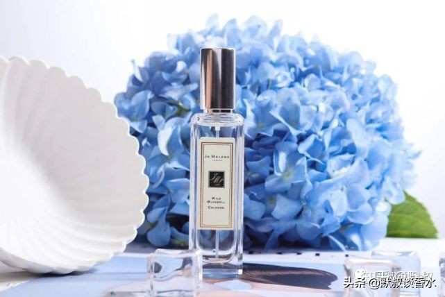 叶落方知秋完整版,适合春夏秋冬的大牌香水