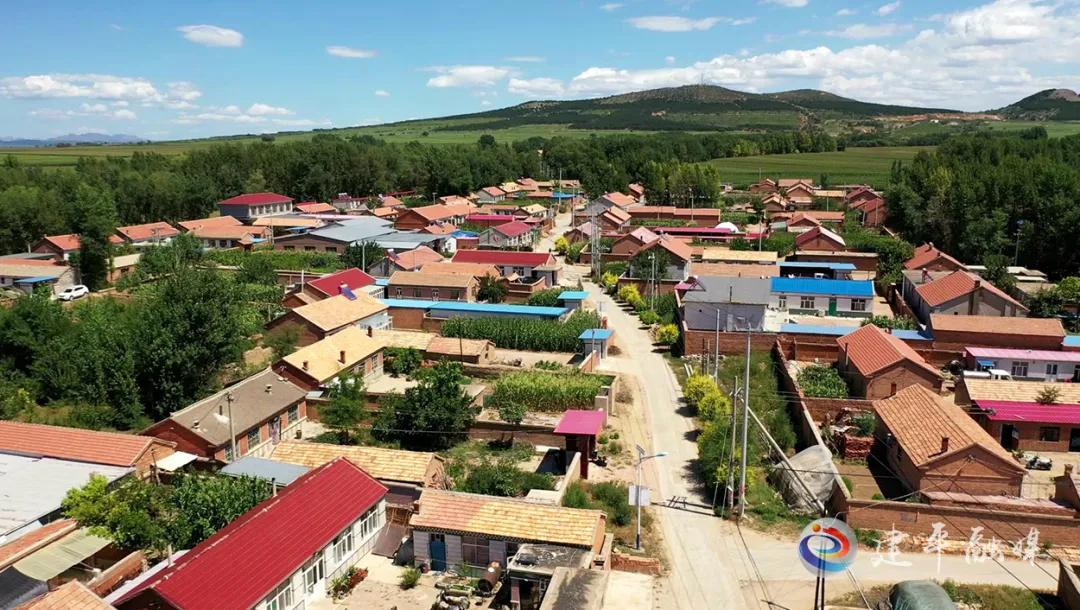 农村能人助力乡村振兴方案,乡村振兴培育致富带头人