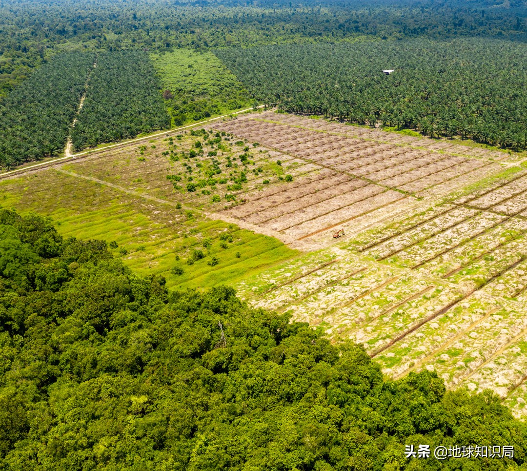 印尼在亚洲的实力排名,印尼有几亿人