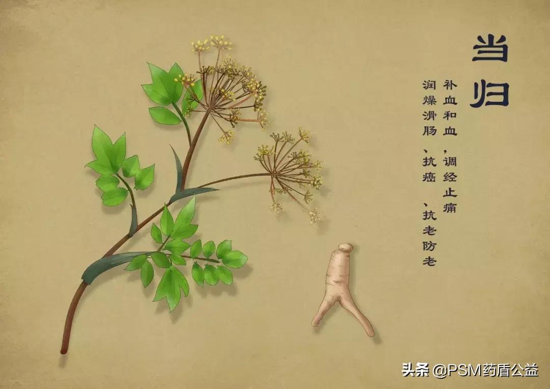 春暖花开手绘视频,春暖花开中药贴画