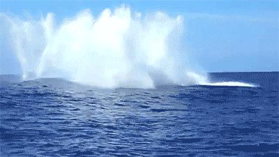 庄子对儒墨的批评,庄子对社会现实怎么样批判