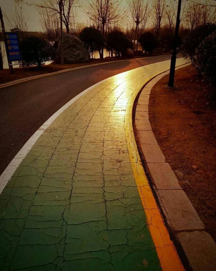 临颍：摄影家大咖走进三高，现场传授摄影秘籍