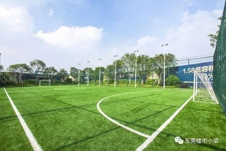 东莞常平碧桂园玫瑰臻园,东莞疫情最新楼盘