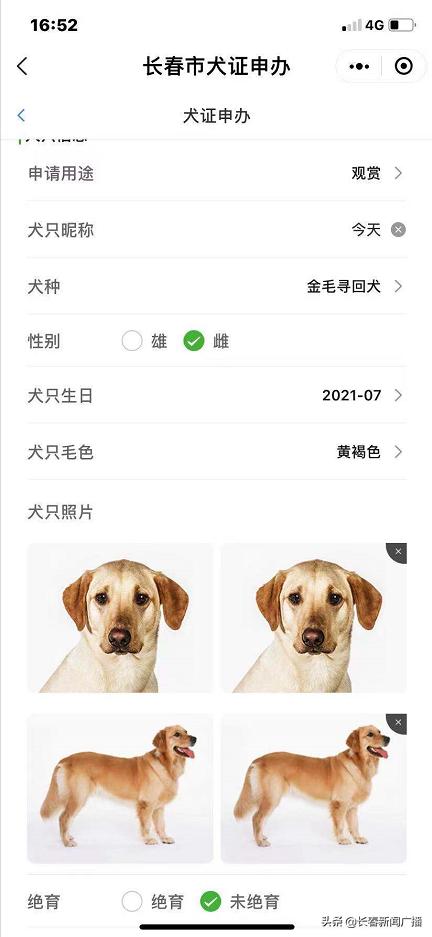 尽快办理！长春《养犬证》办理指南来啦