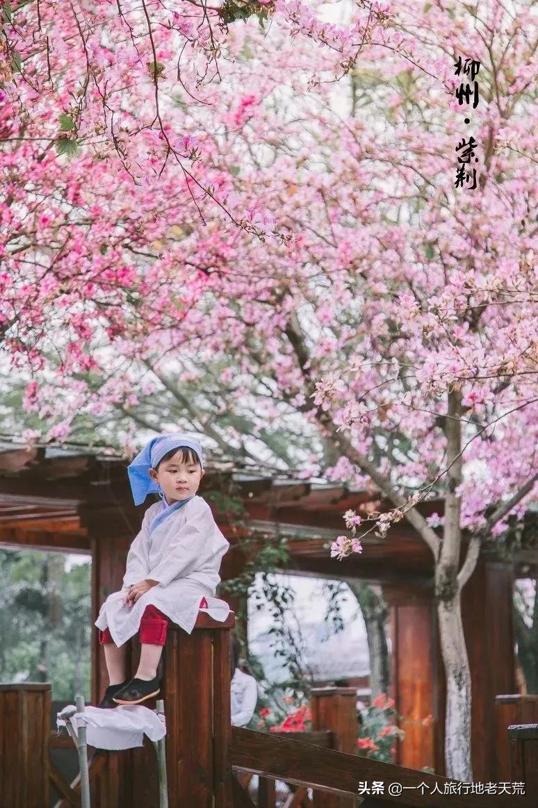 广西哪些城市是靠一碗粉火起来的,凭一碗螺蛳粉征服世界