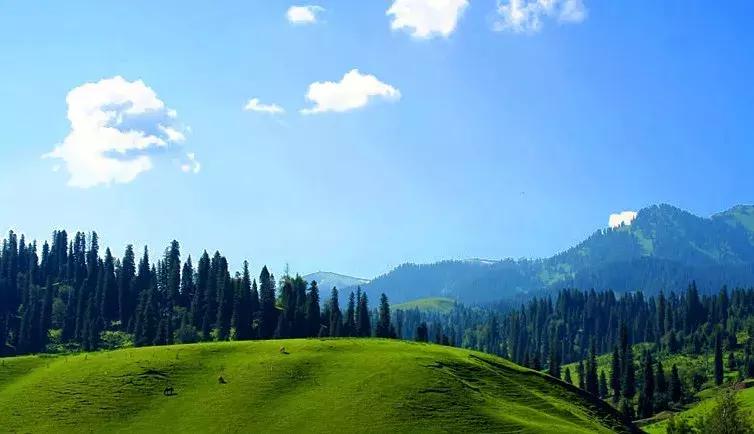 川西彩林自驾风景,川西三大草原绝美自驾游