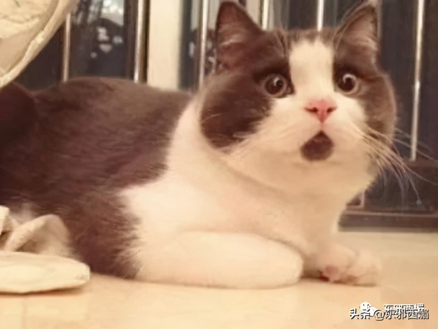 一顿天价的饭局,一顿饭4万多天价饭局