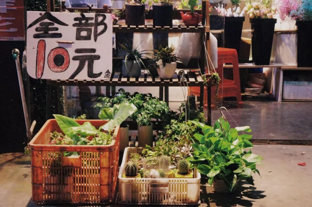 福州美食街夜市宣传片,福州夜市广告