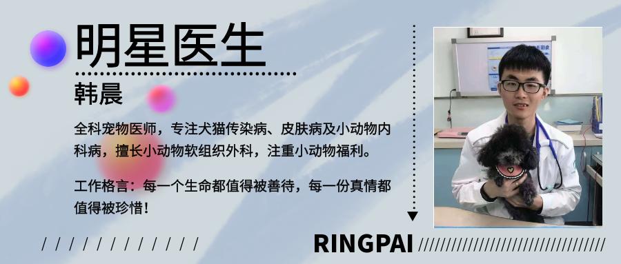 鐟炴淳鍏冲繝瀹犵墿鍖婚櫌灞炰簬鏂扮憺楣忓悧,鐟炴淳鍏冲繝瀹犵墿鍖婚櫌鍖椾含