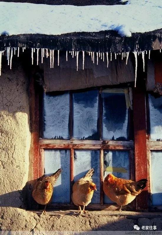 老家的印象和往事 (老家的印象介绍)