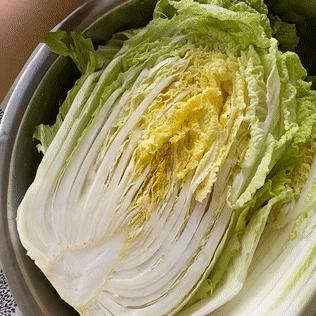 整个朋友圈都在刷《动森》，而我却爱上了在厨房刷锅