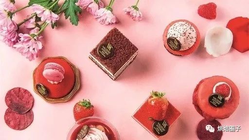 烘焙店发展现状和趋势,烘焙教学圈子