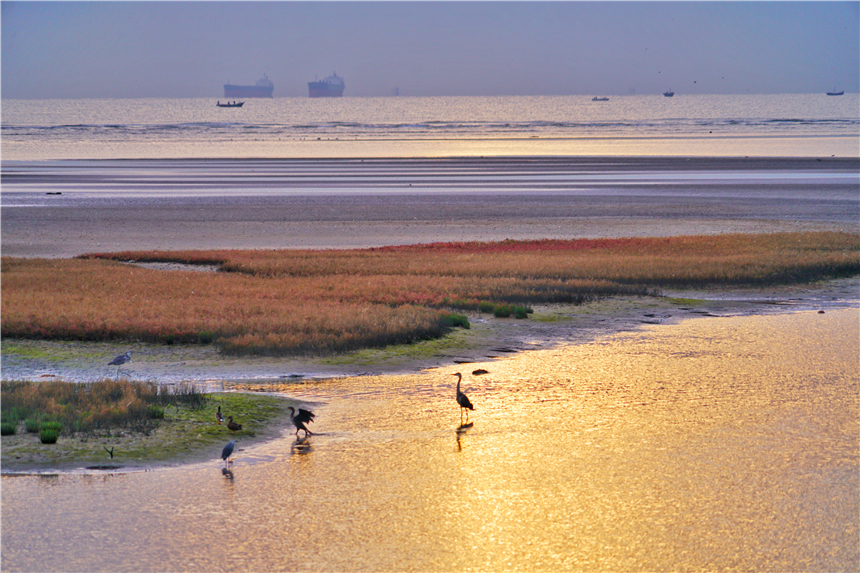 河北最宜居的城市有哪几个,河北最宜居的城市是哪个