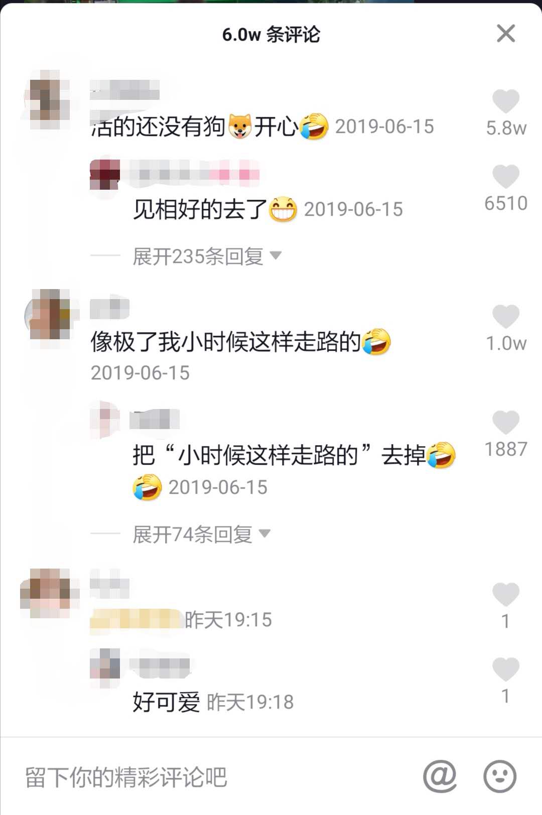 狗狗髌骨病怎么治,狗狗得焦虫病怎么治