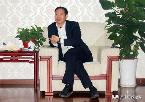 双胞胎饲料2022销量多少,双胞胎饲料总销量多少吨