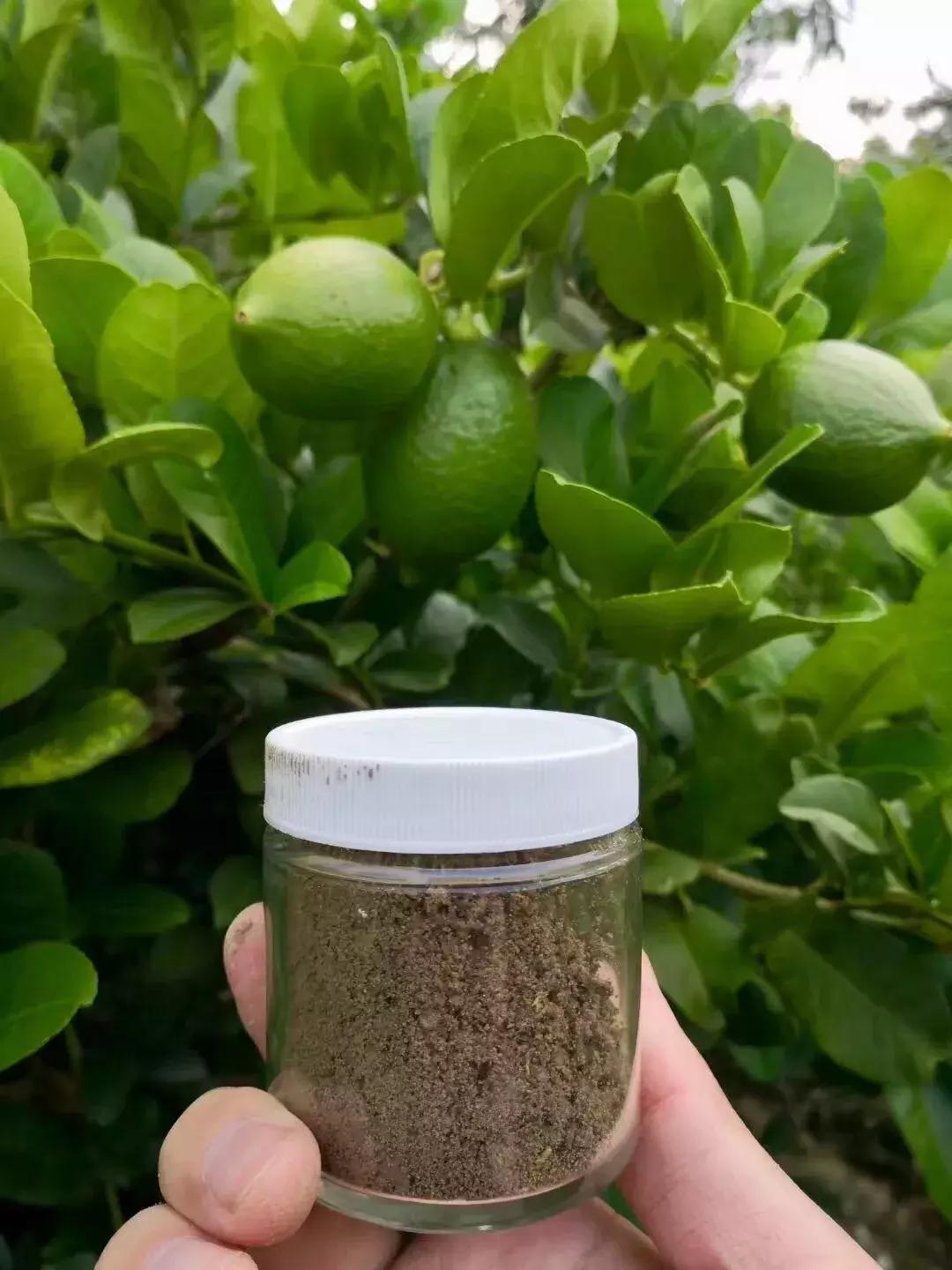 十年仅200家店，“慢行”佐敦道为何值得我们学习？