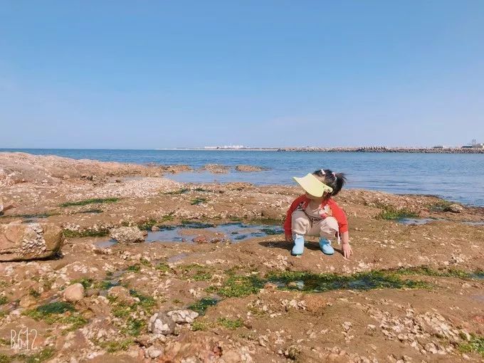 鲅鱼圈最新的旅游攻略,鲅鱼圈最强攻略