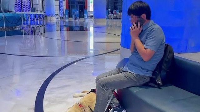 上海迪士尼乐园和长隆哪个好玩,上海迪士尼乐园和珠海长隆的区别