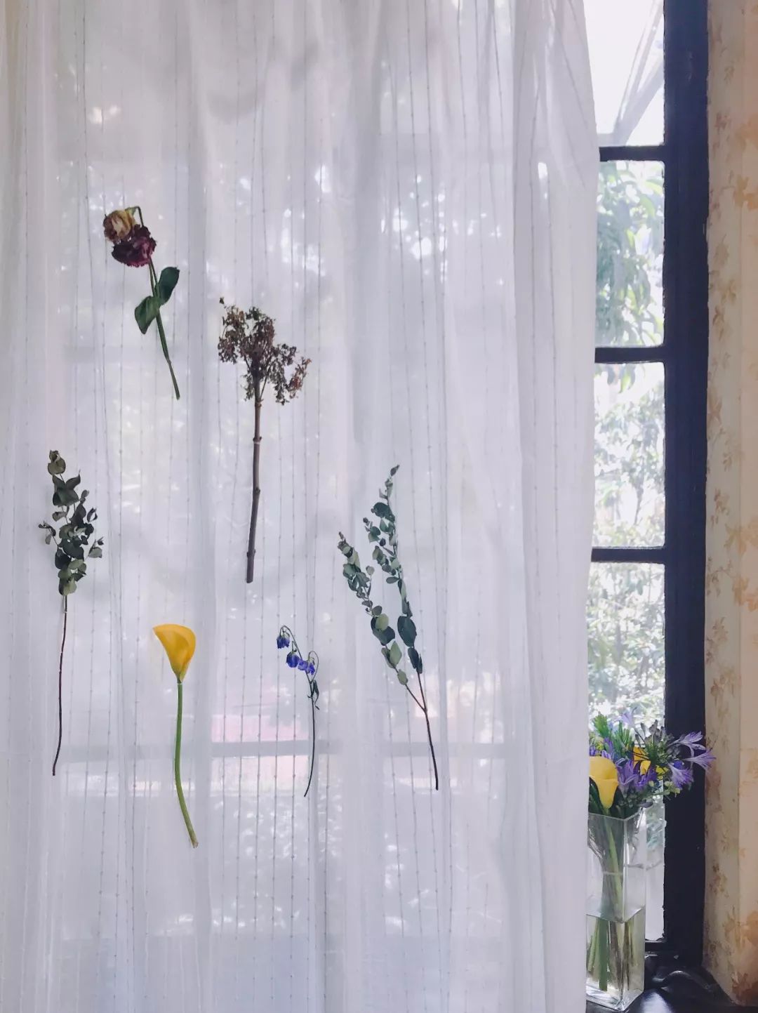 什么花最受女孩欢迎,女孩子中比较受欢迎的花