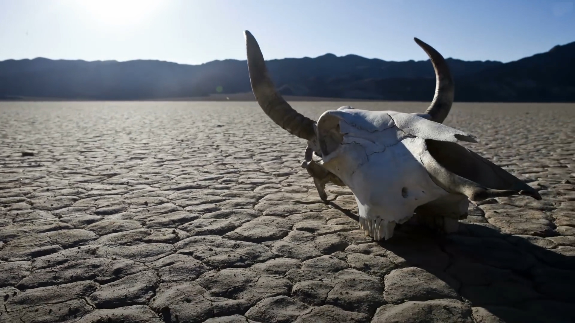 海水突然消失地球还可以撑多久,海水如果消失地球会发生什么