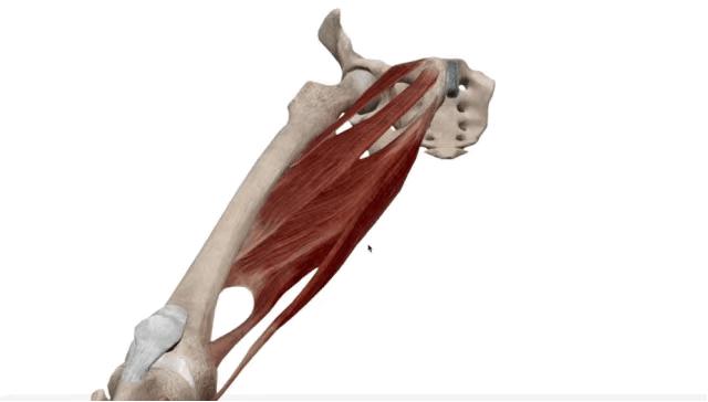大腿松松垮垮的肉容易减吗,大腿松垮垮
