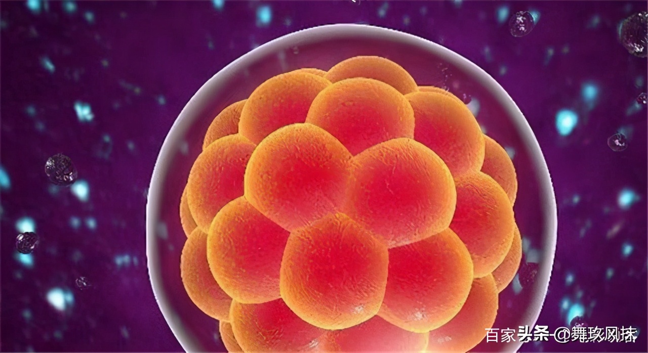 怀孕四十多天孕囊,怀孕40天孕囊是什么样的