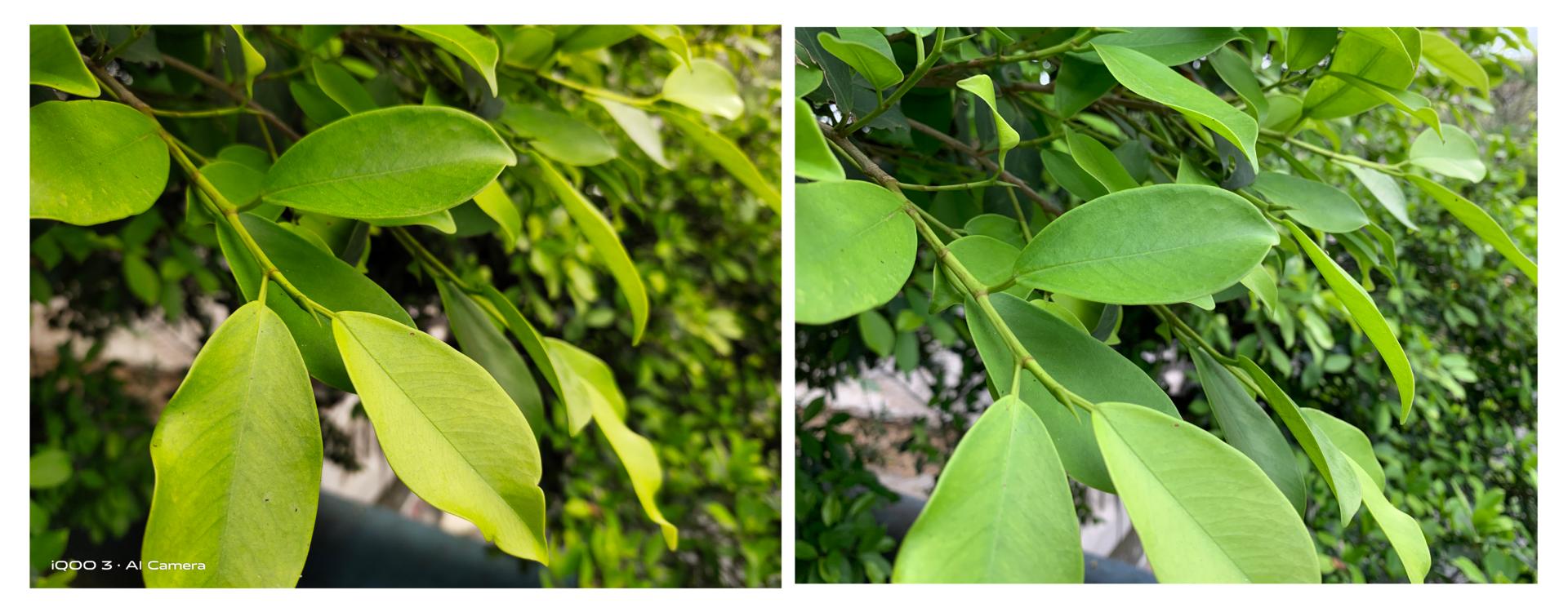 iqoo3除了游戏还有什么优点,iqoo3打游戏性能怎么样