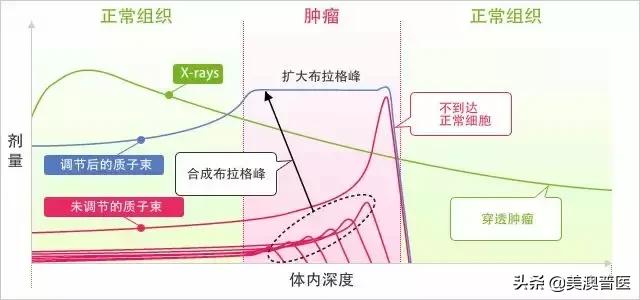 李宗伟质子重离子完全治好了吗,李宗伟退役中文版