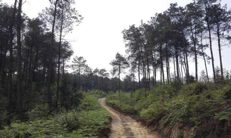 重庆木耳镇发展规划,重庆木耳镇现在景象