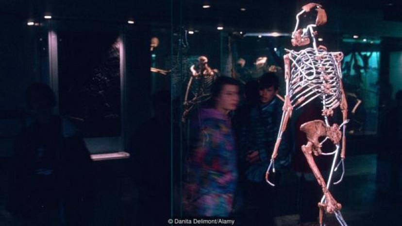 114万年前,人类全身毛发褪去,保留了头发、腋毛和阴毛,为啥?