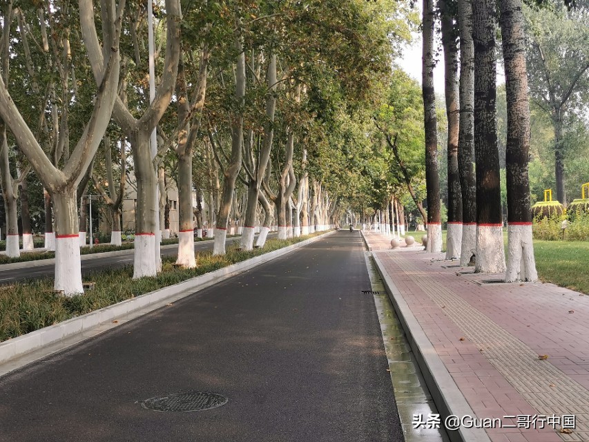 兰考县厉害在哪,河南兰考县啥出名