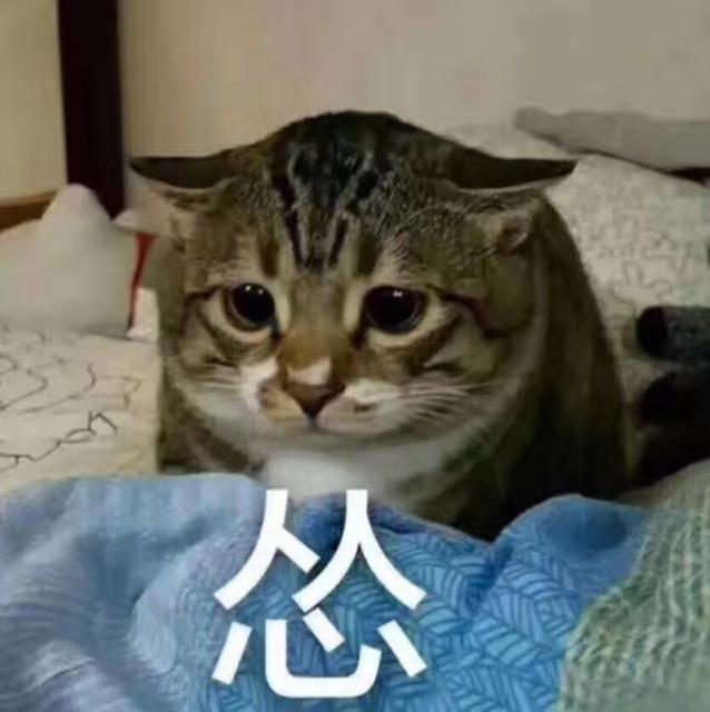 100块钱的skii,100块钱的sk2