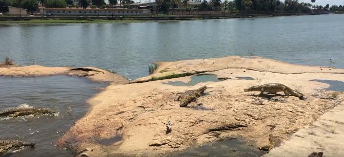 科特迪瓦哪里的海边好玩,科特迪瓦象牙海岸