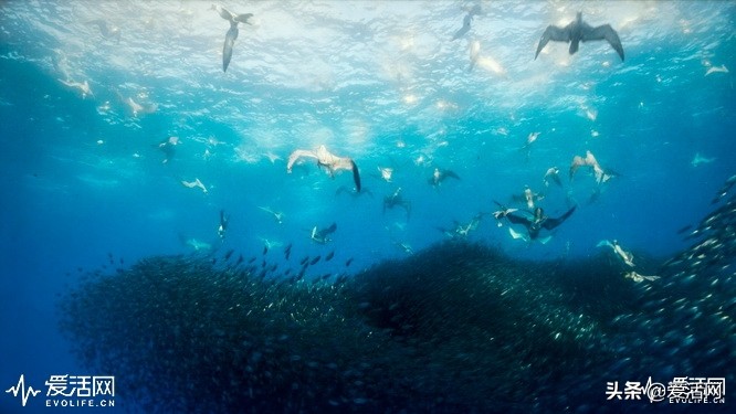 在家可以享受影院级的震撼视频,在家享受影院效果