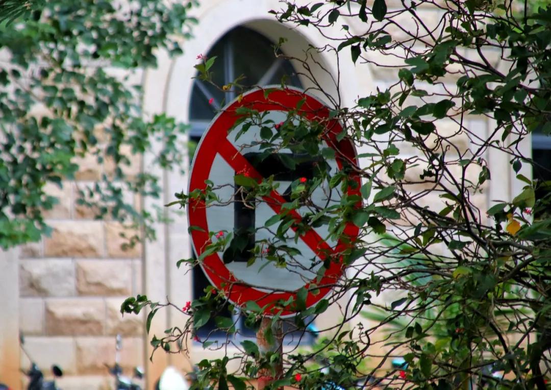 静谧角落香云纱,静谧角落视频