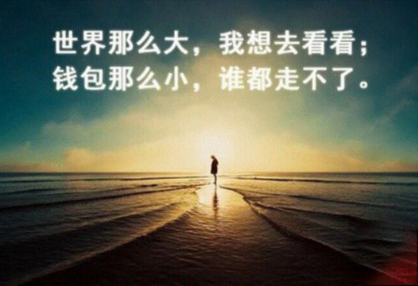 适合*轮法**功的这些流行语