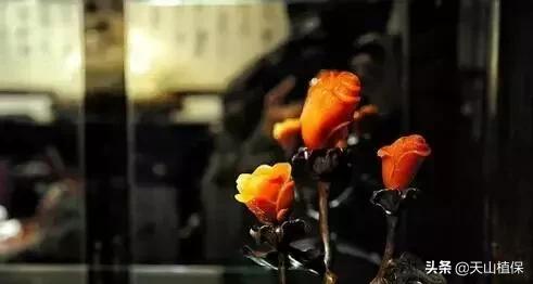 刚玉矿物的宝石品种有哪些,常见玉种宝石密度表图片