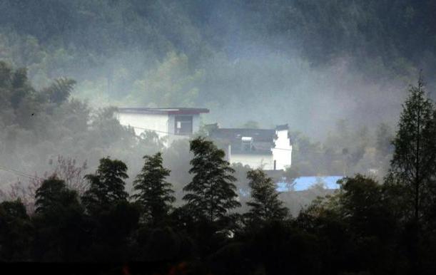 百年孤独的开场白怎么说,读百年孤独前要先读什么书