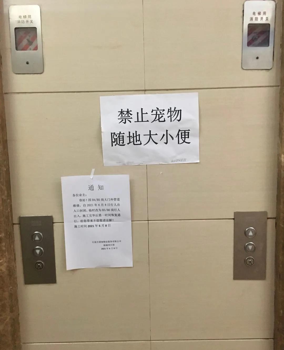 长安新区房子哪个楼盘好,长安区十大好楼盘