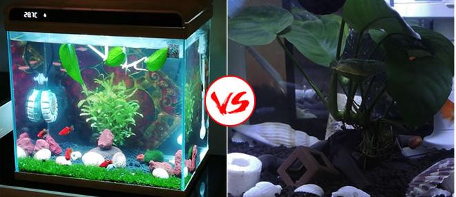 小米超白鱼缸带水草,超白玻璃鱼缸小米