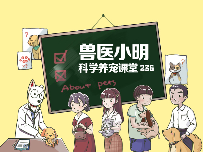 训犬师怎么训练狗狗,训犬师训狗有用吗