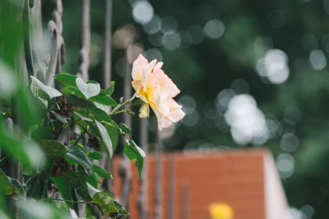 郑州金水路房价5万元,郑州金水区南阳路二手房价多少